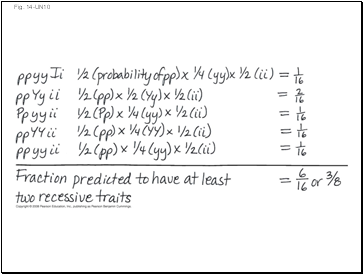 Fig. 14-UN10