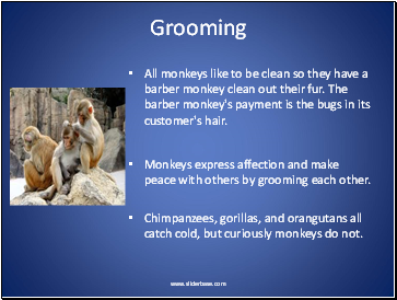 Grooming