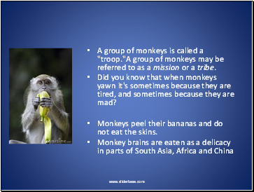 A group of monkeys is called a "troop."A group of monkeys may be referred to as a mission or a tribe.