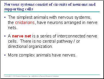 Nervous systems consist of circuits of neurons and supporting cells