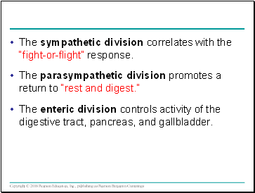 The sympathetic division correlates with the fight-or-flight response.