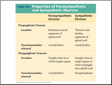 Nervous Systems