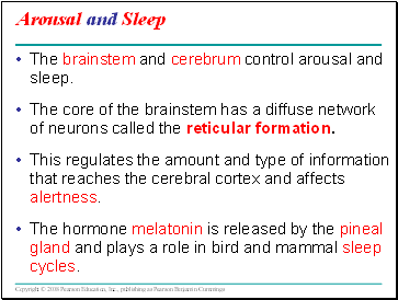 Arousal and Sleep