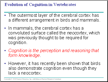 Evolution of Cognition in Vertebrates