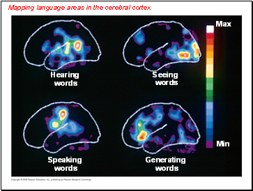 Mapping language areas in the cerebral cortex