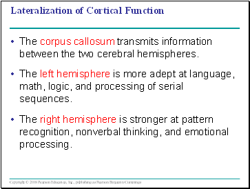Lateralization of Cortical Function