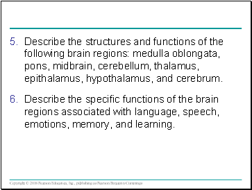 Describe the structures and functions of the following brain regions: medulla oblongata, pons, midbrain, cerebellum, thalamus, epithalamus, hypothalamus, and cerebrum.