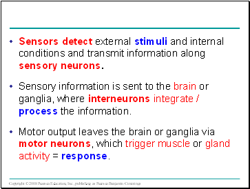 Sensors detect external stimuli and internal conditions and transmit information along sensory neurons.