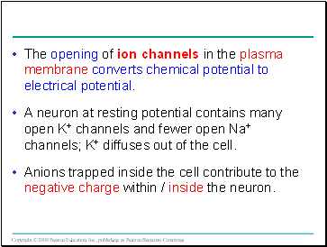 The opening of ion channels in the plasma membrane converts chemical potential to electrical potential.