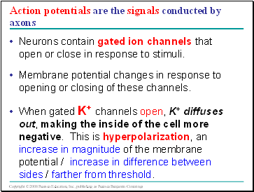 Action potentials are the signals conducted by axons