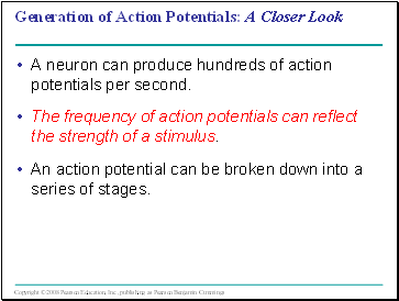 Generation of Action Potentials: A Closer Look