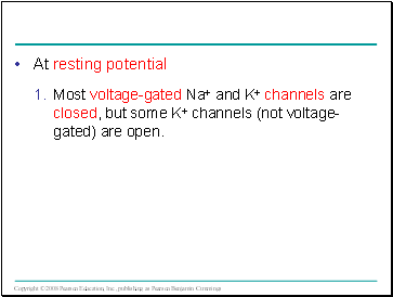 At resting potential