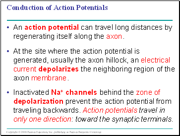 Conduction of Action Potentials