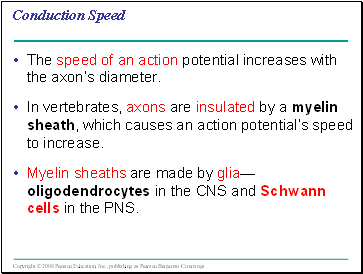 Conduction Speed