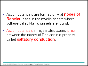 Action potentials are formed only at nodes of Ranvier, gaps in the myelin sheath where voltage-gated Na+ channels are found.