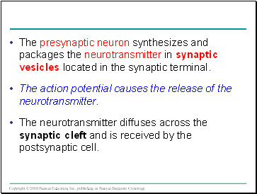 The presynaptic neuron synthesizes and packages the neurotransmitter in synaptic vesicles located in the synaptic terminal.