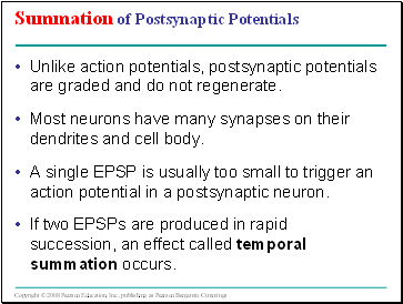 Summation of Postsynaptic Potentials