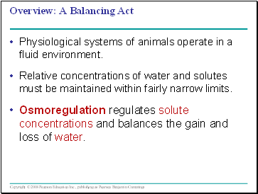 Osmoregulation and Excretion