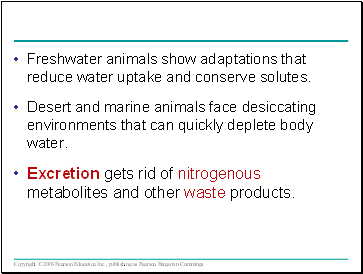 Freshwater animals show adaptations that reduce water uptake and conserve solutes.