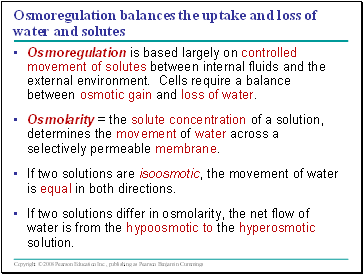 Osmoregulation balances the uptake and loss of water and solutes