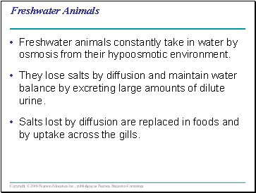 Freshwater Animals