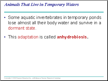 Animals That Live in Temporary Waters