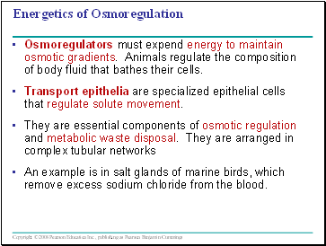 Energetics of Osmoregulation
