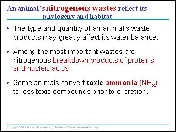 An animals nitrogenous wastes reflect its phylogeny and habitat