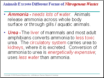 Animals Excrete Different Forms of Nitrogenous Wastes