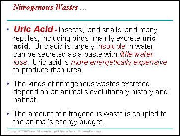 Nitrogenous Wastes 