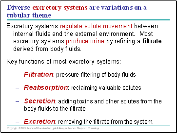 Diverse excretory systems are variations on a tubular theme