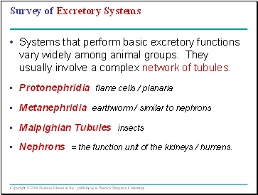 Survey of Excretory Systems