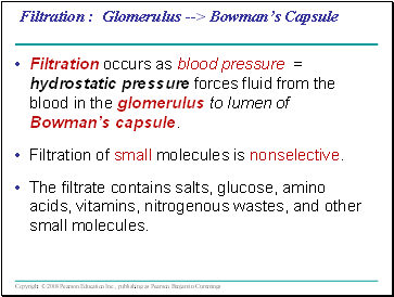 Filtration : Glomerulus --> Bowmans Capsule