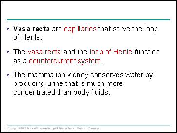 Vasa recta are capillaries that serve the loop of Henle.