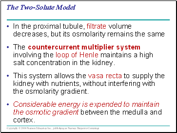 The Two-Solute Model