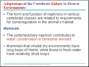 Adaptations of the Vertebrate Kidney to Diverse Environments