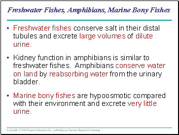 Freshwater Fishes, Amphibians, Marine Bony Fishes