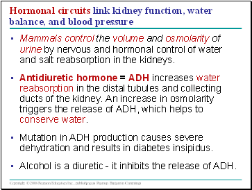 Hormonal circuits link kidney function, water balance, and blood pressure