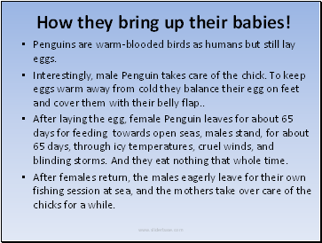 How they bring up their babies!
