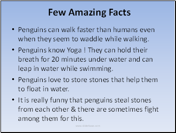 Penguins can walk faster than humans even when they seem to waddle while walking.