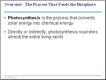 The Process That Feeds the Biosphere