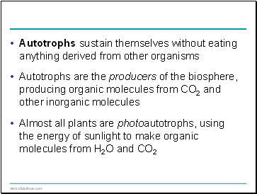 Autotrophs sustain themselves without eating anything derived from other organisms