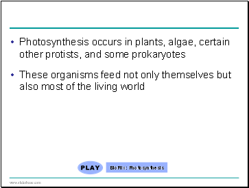 Photosynthesis occurs in plants, algae, certain other protists, and some prokaryotes