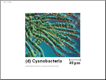 Fig. 10-2d