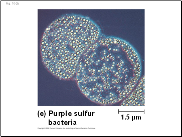 Fig. 10-2e