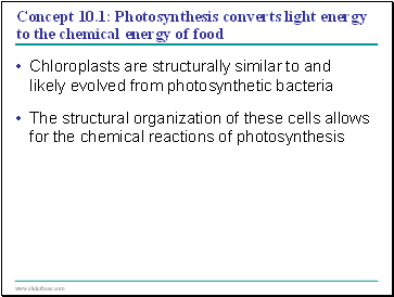 Concept 10.1: Photosynthesis converts light energy to the chemical energy of food