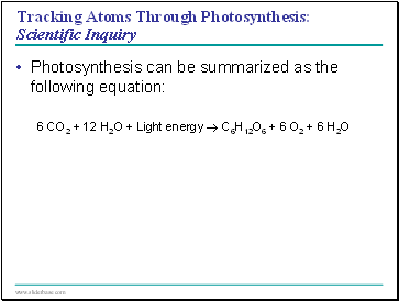 Tracking Atoms Through Photosynthesis: Scientific Inquiry
