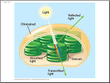 Fig. 10-7