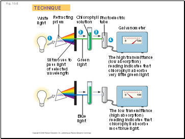 Fig. 10-8