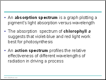 An absorption spectrum is a graph plotting a pigments light absorption versus wavelength